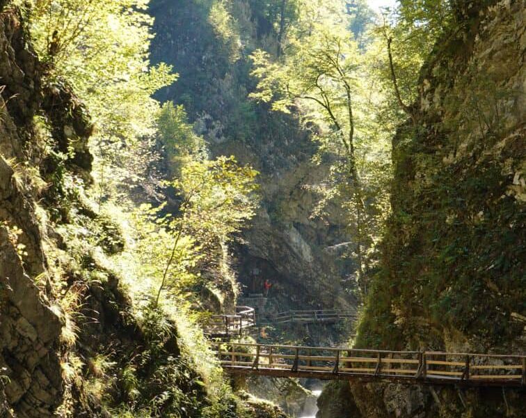 Hiking through the Vintgar Gorge