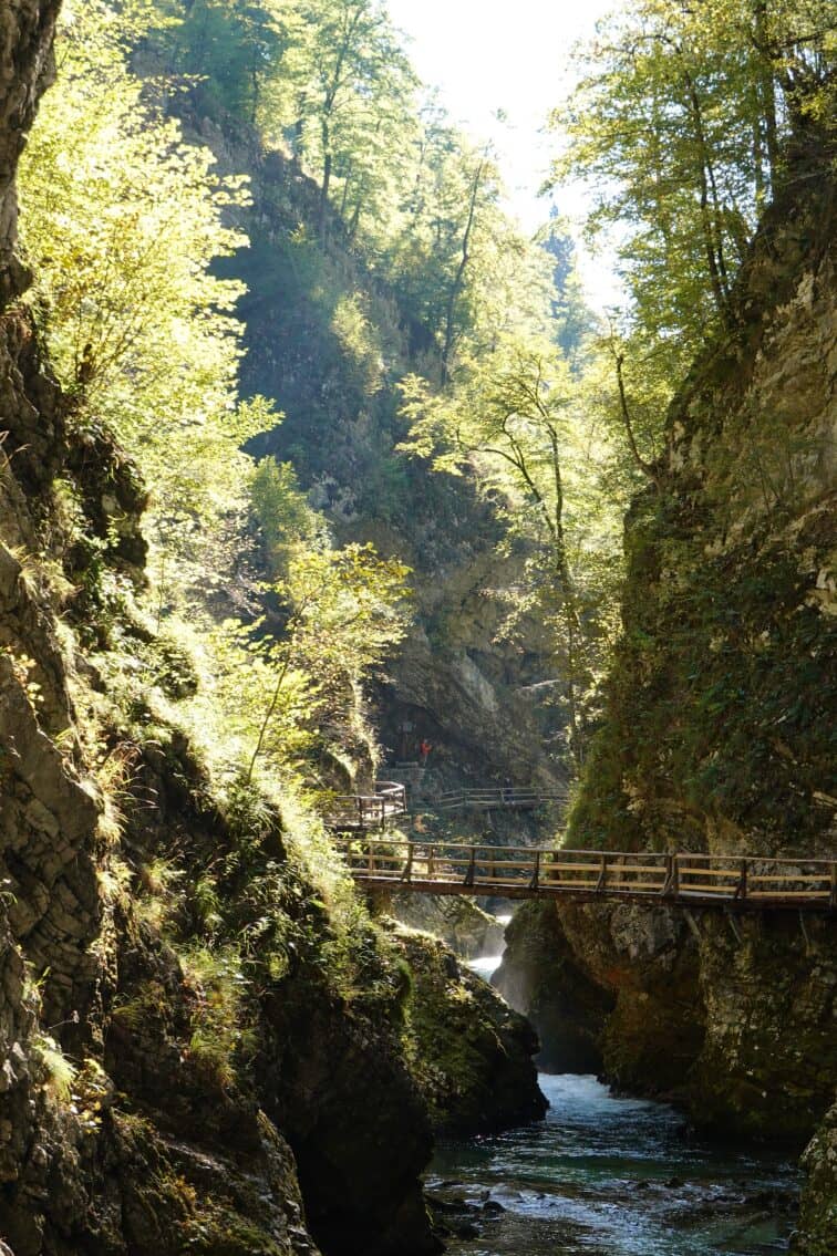 Hiking through the Vintgar Gorge