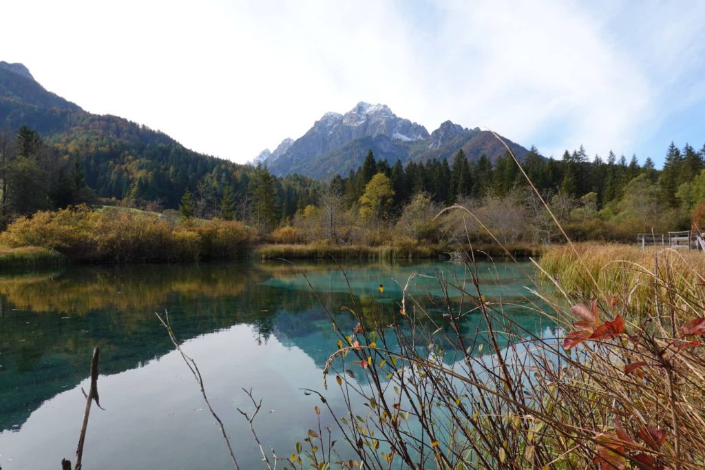 Zelenci small lake