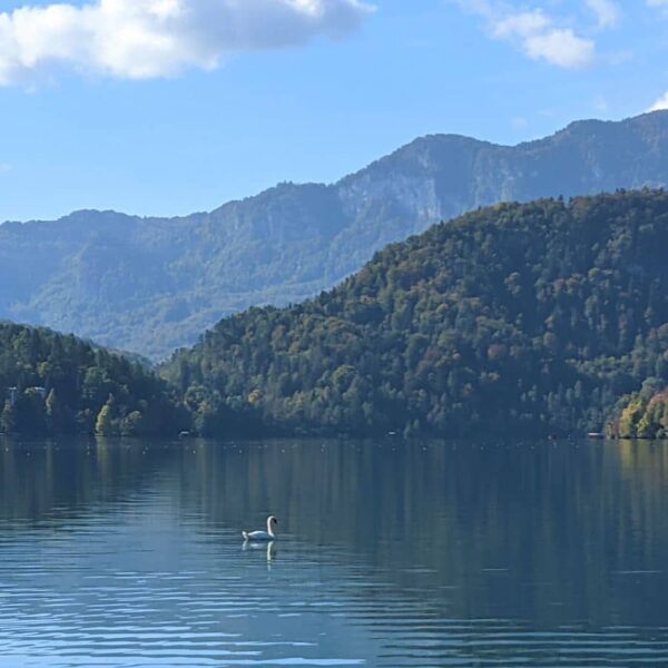Lake Bled in the sunshine