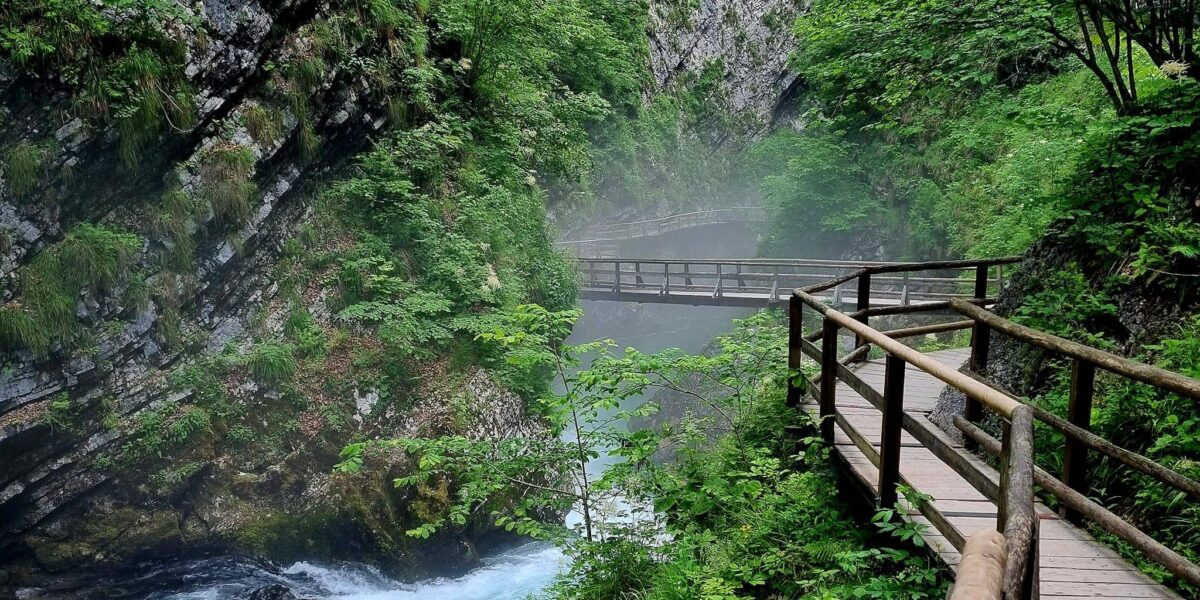 Walking through the Vintgar Gorge