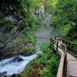 Walking through the Vintgar Gorge