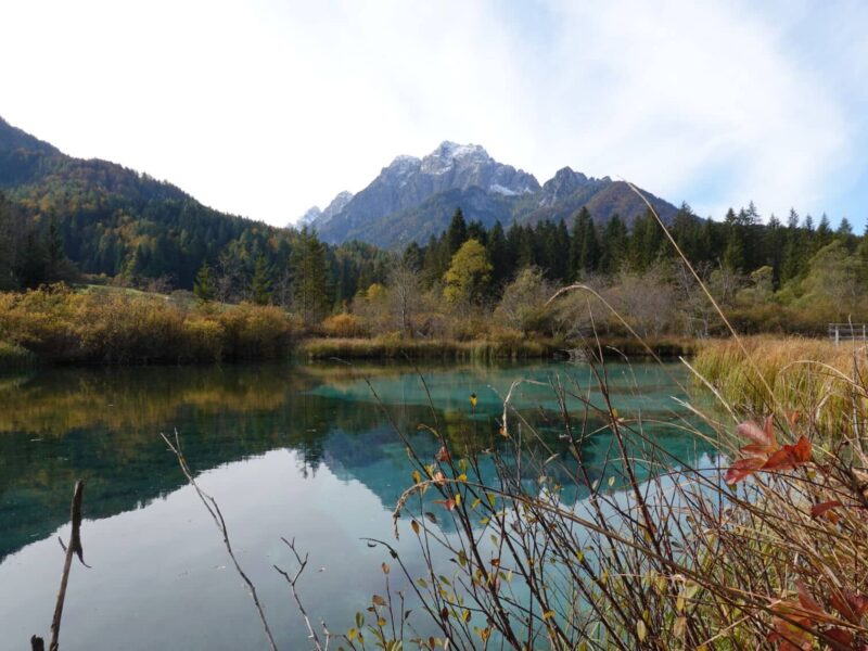 Zelenci Lake