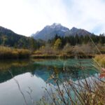 Zelenci lake