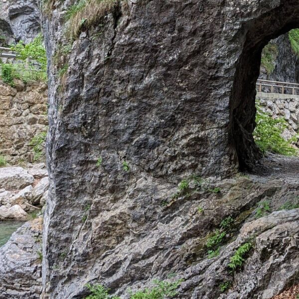 Clear river running through the Dovzan Gorge in Slovenia, surrounded by rocks and greenery