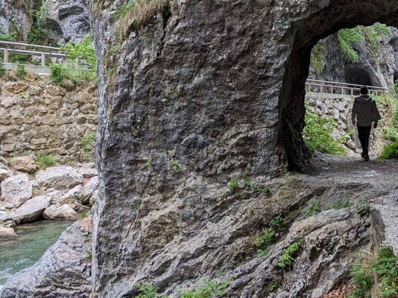 Clear river running through the Dovzan Gorge in Slovenia, surrounded by rocks and greenery