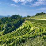 Wine holiday in Slovenia