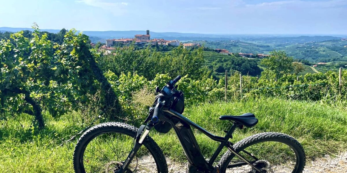Cycling by e-bike through the Brda wine region