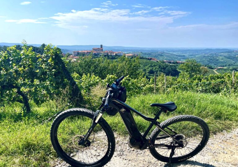 Cycling by e-bike through the Brda wine region