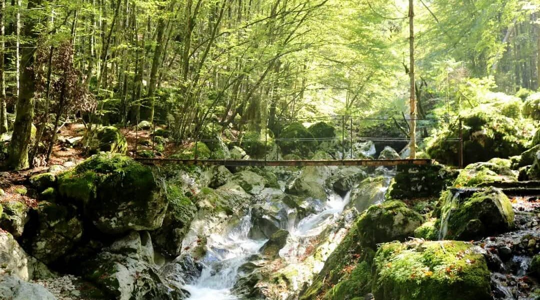 Waterfall at Šunikov vodni gaj, Slovenia