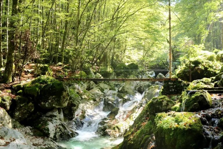 Waterfall at Šunikov vodni gaj, Slovenia