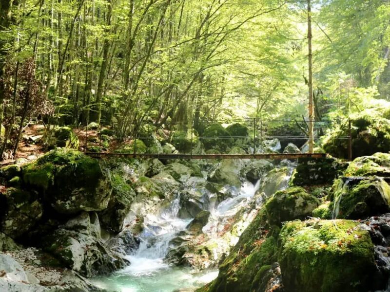 Waterfall at Šunikov vodni gaj, Slovenia