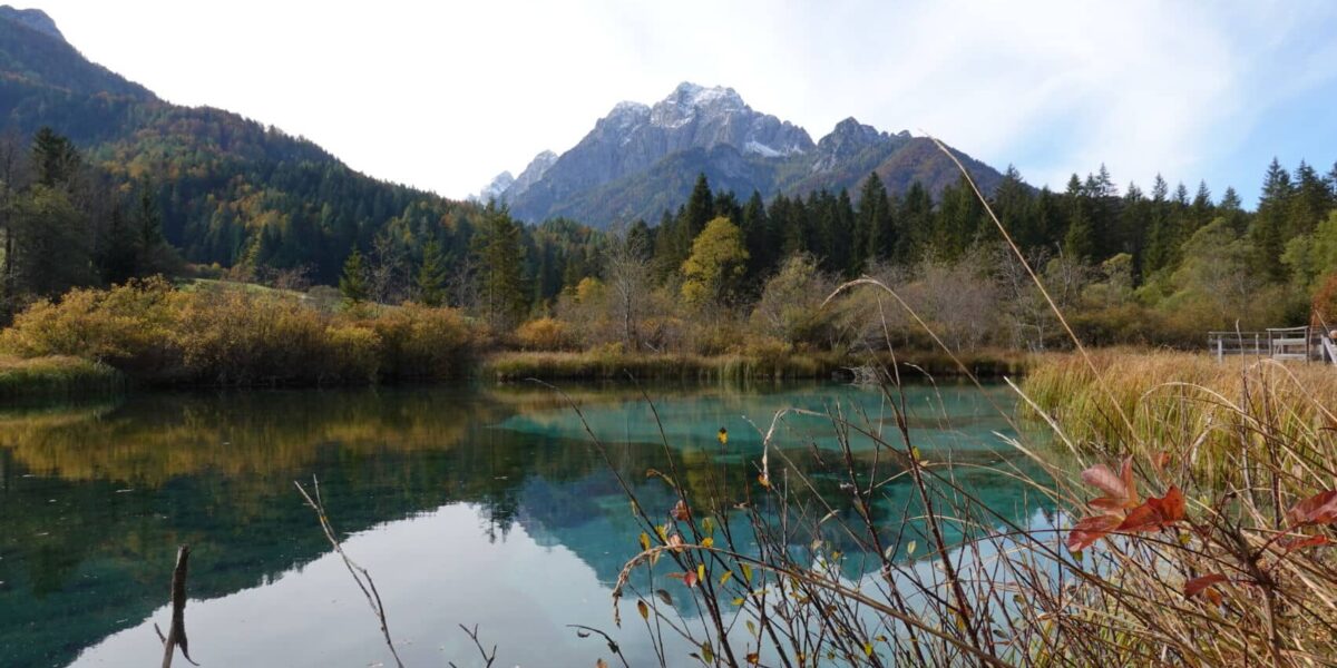 Zelenci Lake